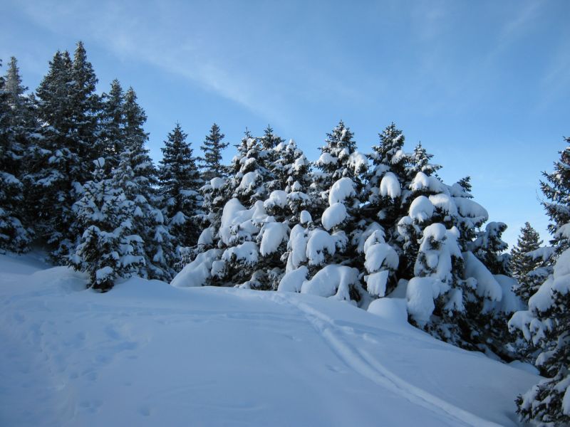 2010-02-21 Neige (02) Plenty of fresh snow